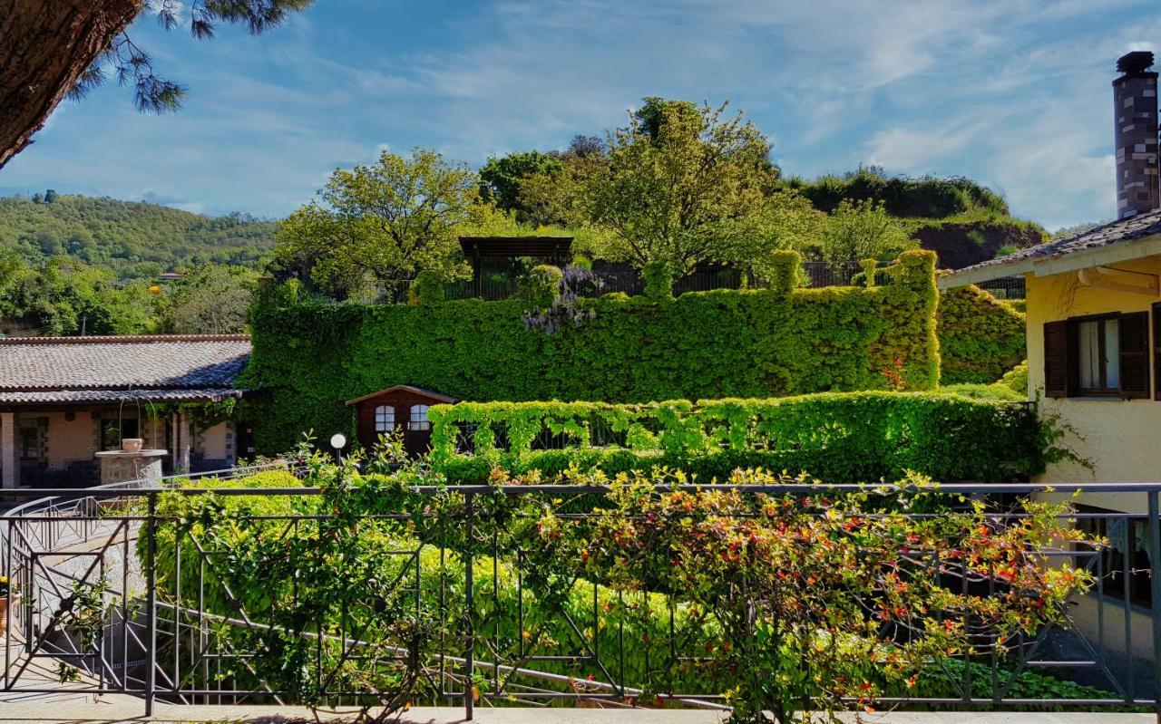 Agriturismo Le Vigne Болсена Екстериор снимка